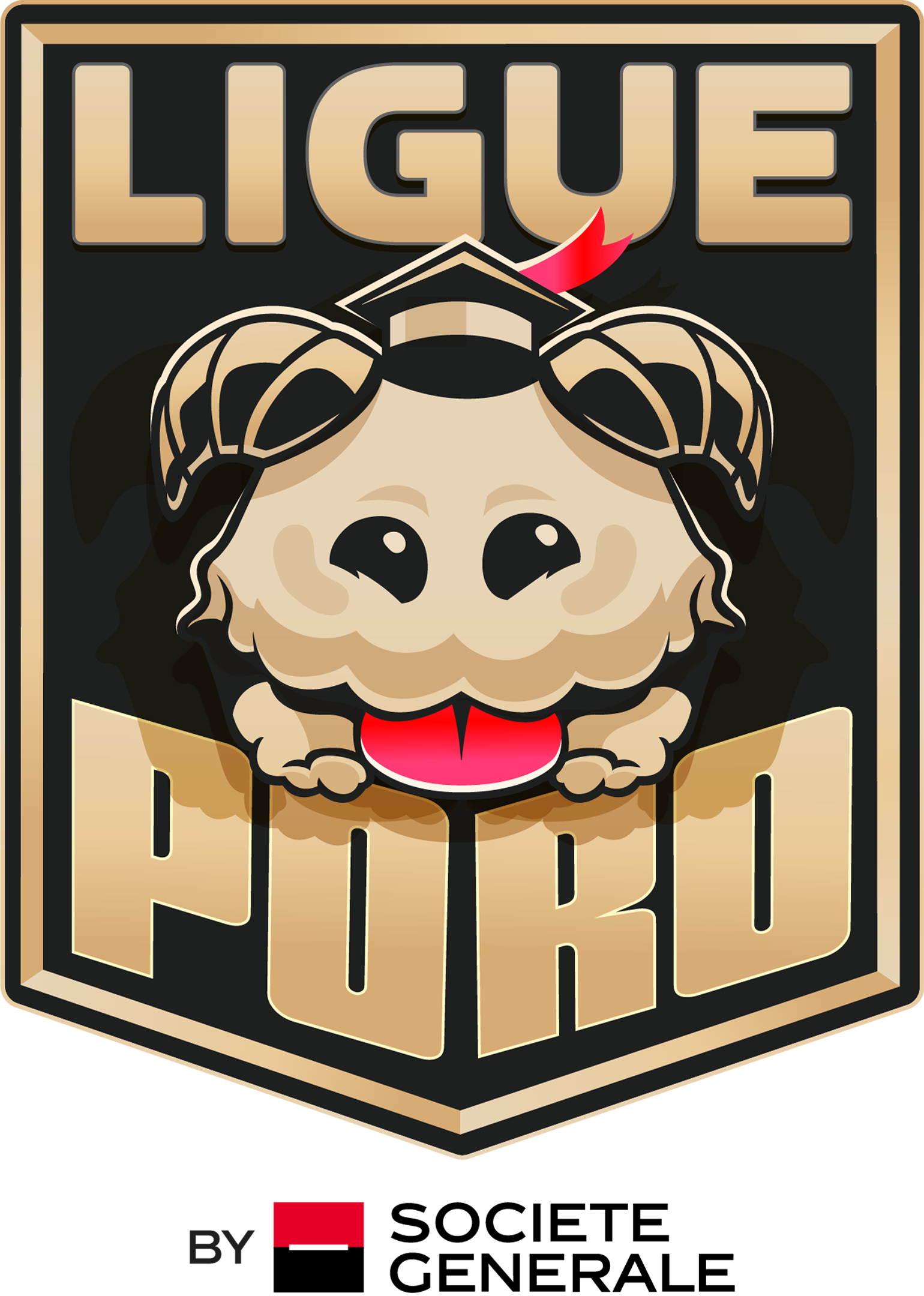 Logo Ligue Poro